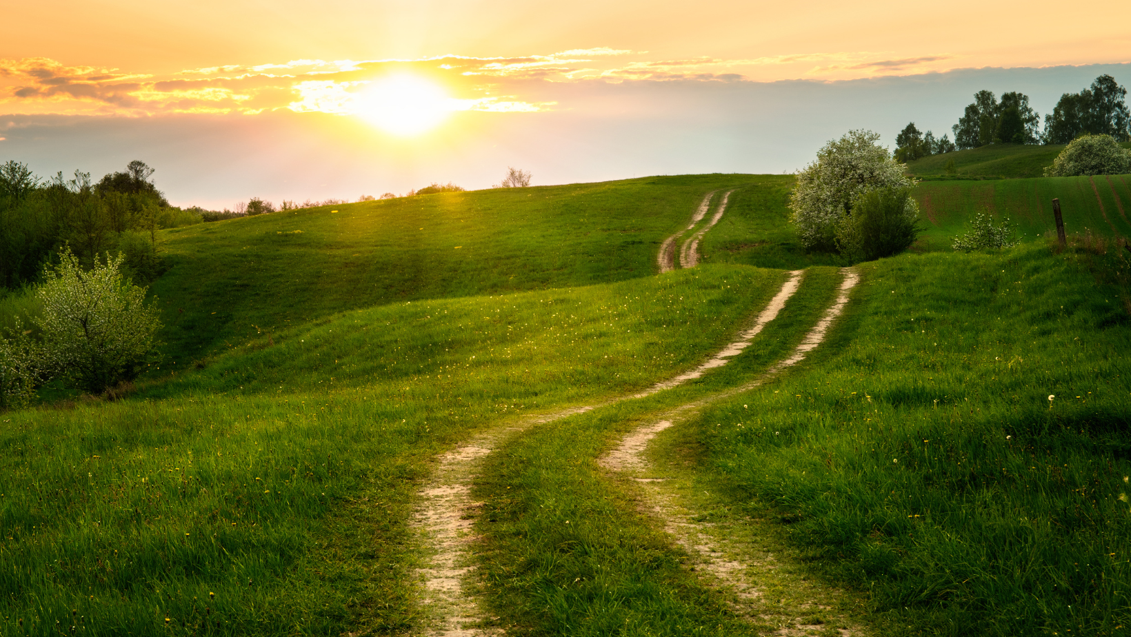 Learn about easements in real estate, their impact on property ownership, and key insights for buyers and sellers.